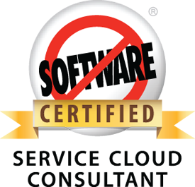 Salesforce cloud consultant certified partner